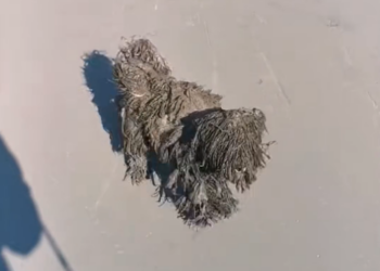 H0503164 Help arrived at the turning point