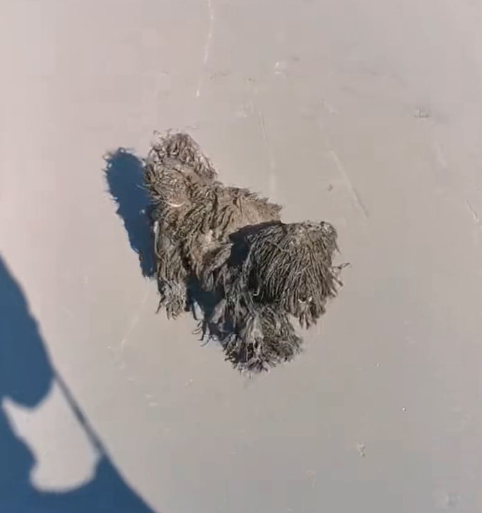 H0503164 Help arrived at the turning point