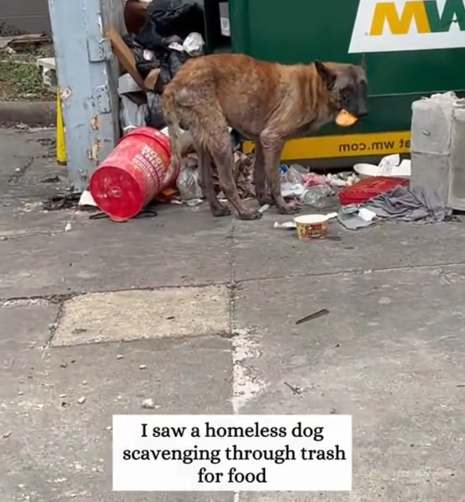 H0503165 The struggle had been long