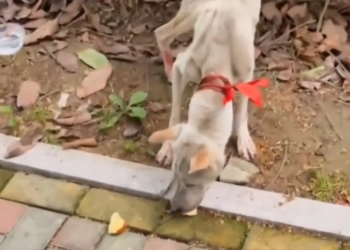 H0503169 The world had been too harsh