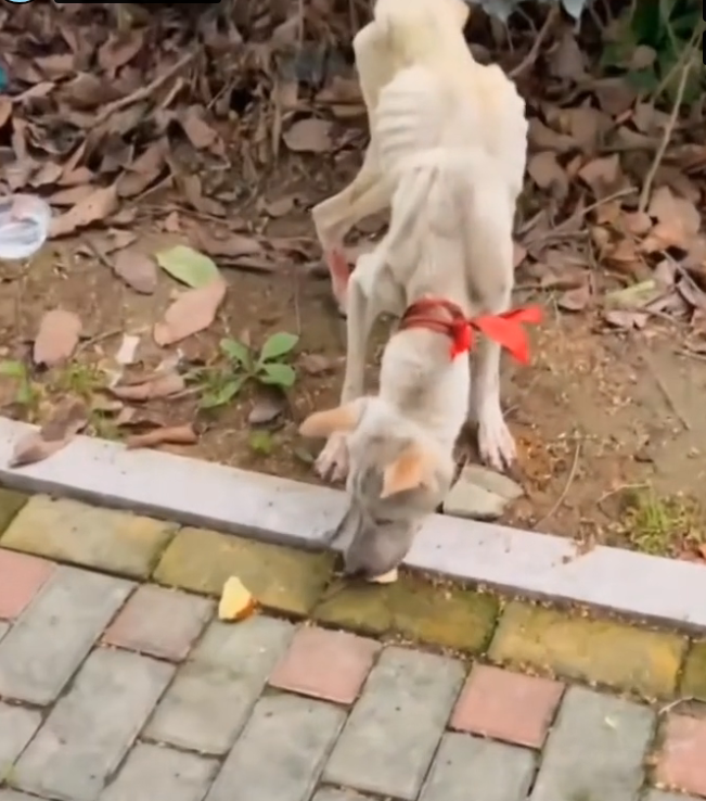 H0503169 The world had been too harsh