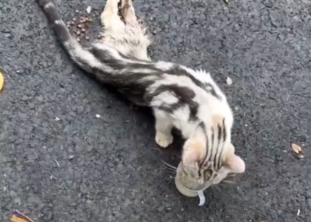 H0503171 Discovered during a desperate moment