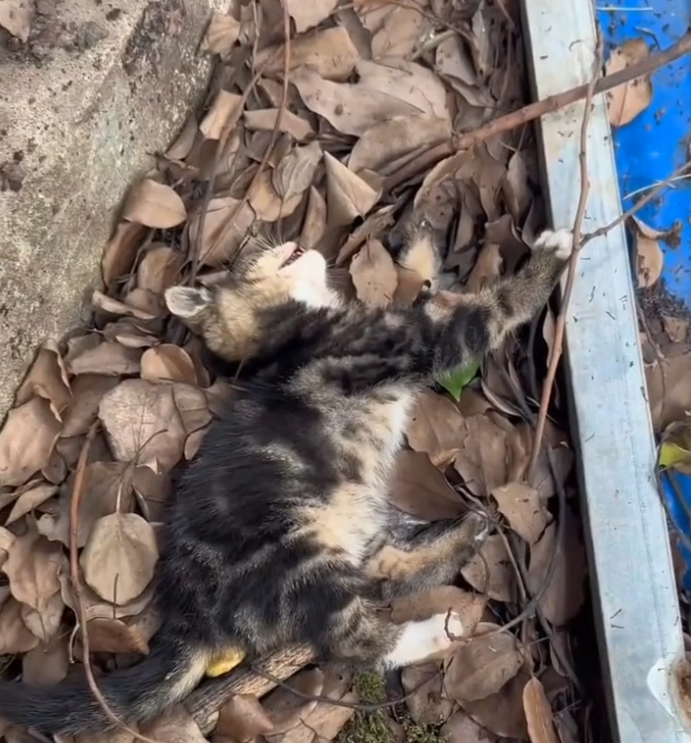 H0503172 The risk of losing it was real