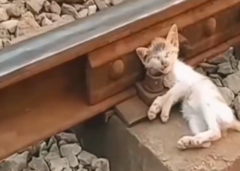 H0503182 A life hanging in uncertainty