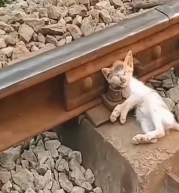 H0503182 A life hanging in uncertainty