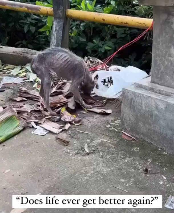 H2802001_Love can rewrite even hardest stories