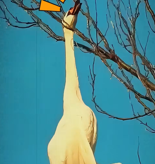 N0404007_Rescue teams helped him after call