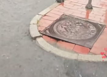 N0204016_little cat was crying on roadside it was