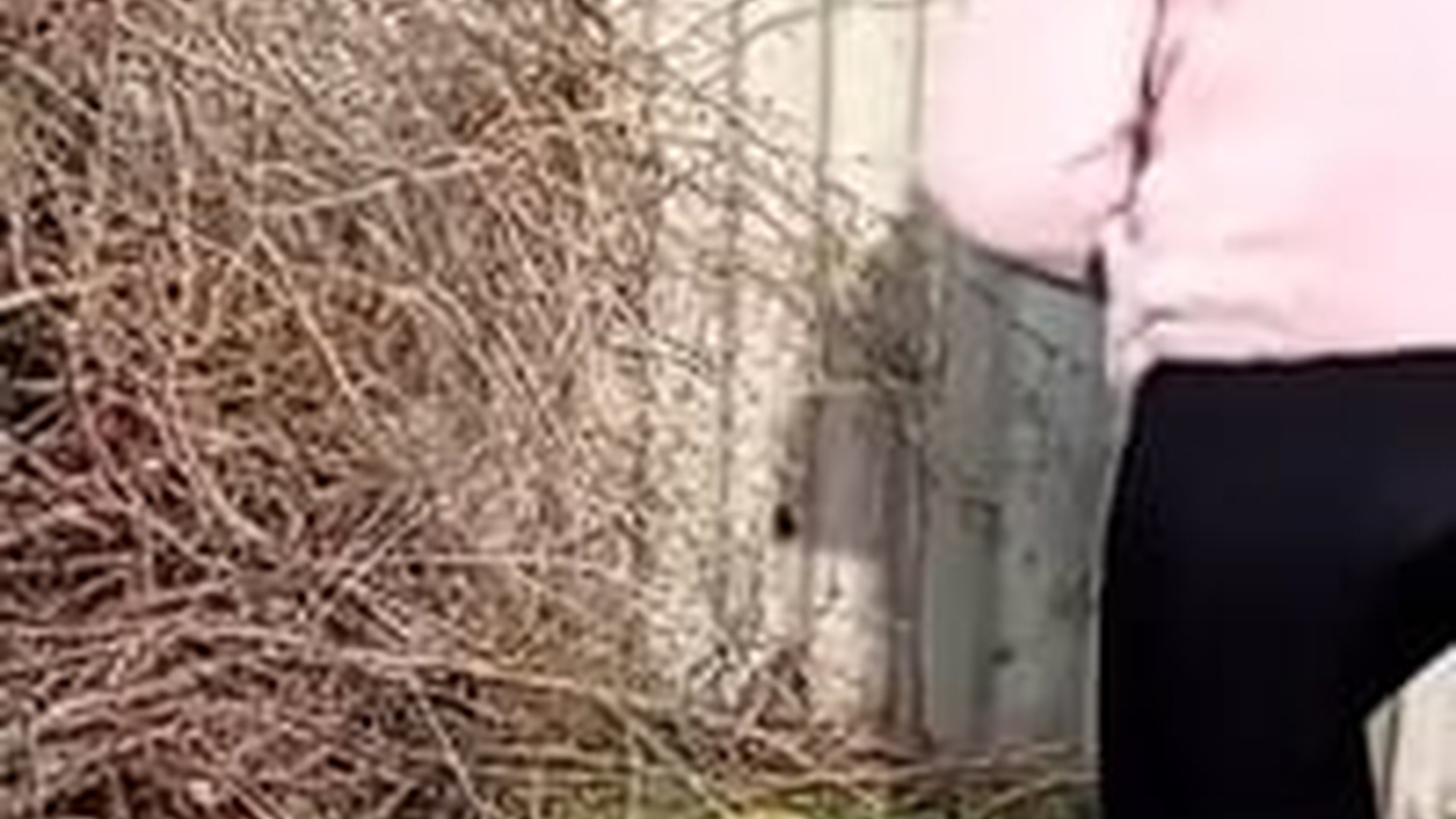 N2704160_girl rescue puppy in sack then #rescu