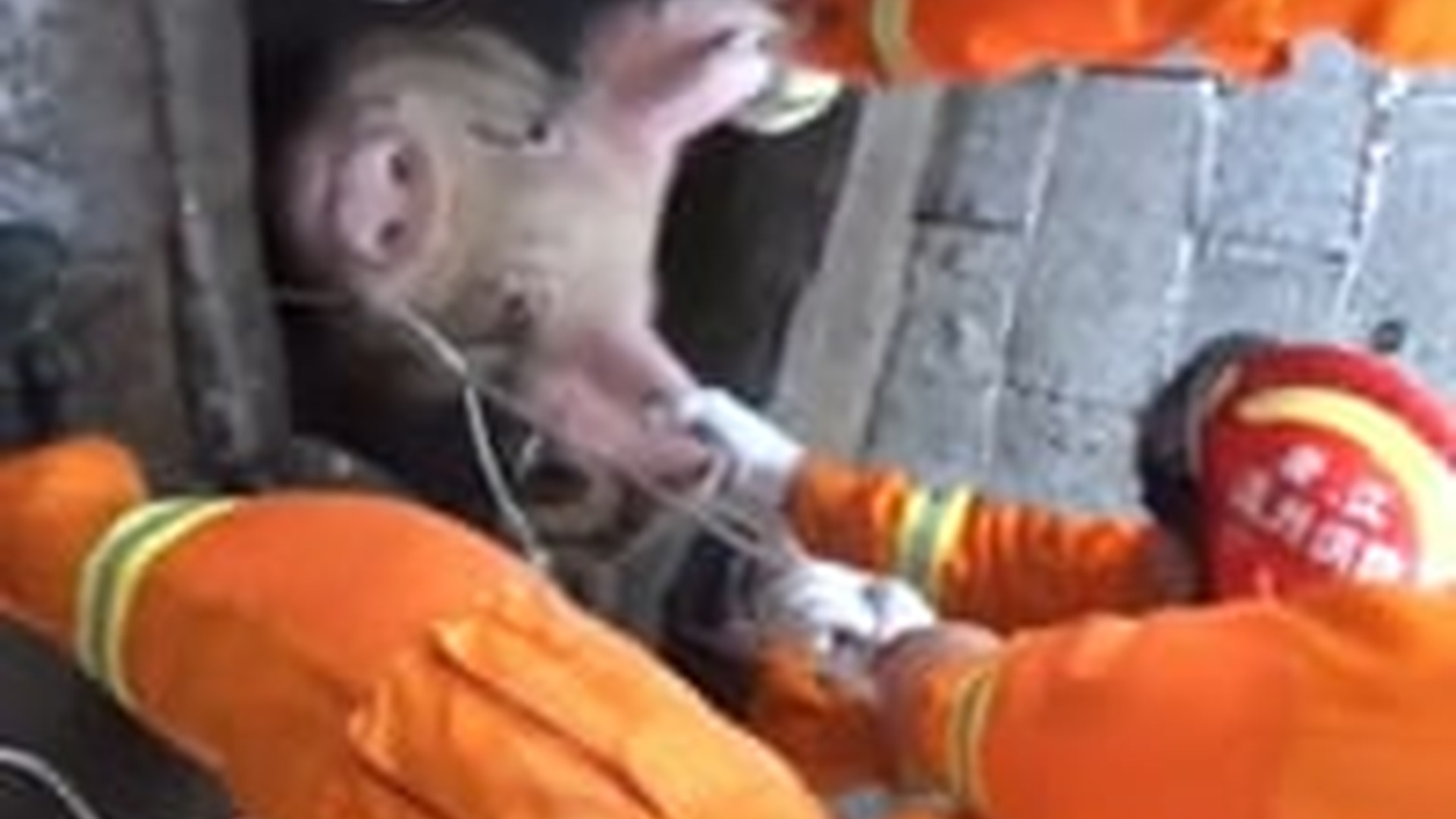 N2704186_Rescue pig hole #rescue #rescueanimals #p