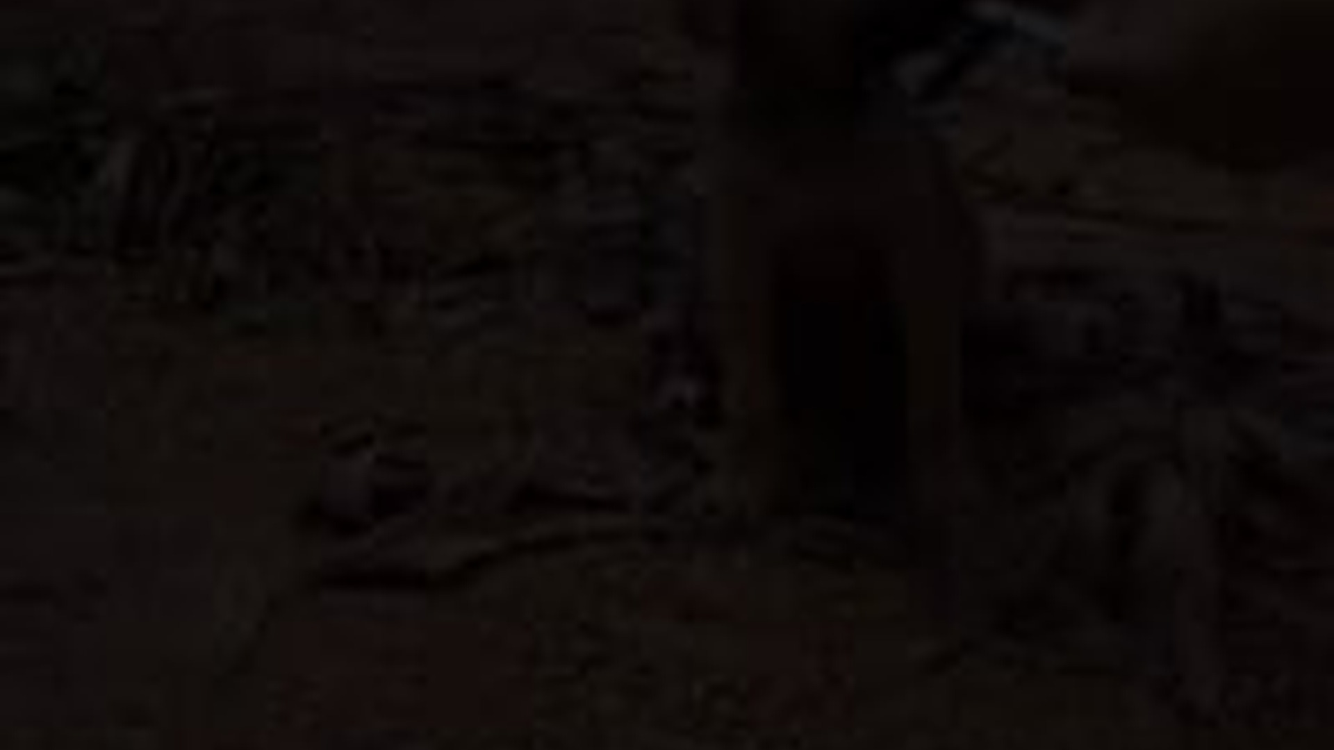 N1405118_Rescue a baby dog #rescue #rescuedog #rescueanimal..._part2