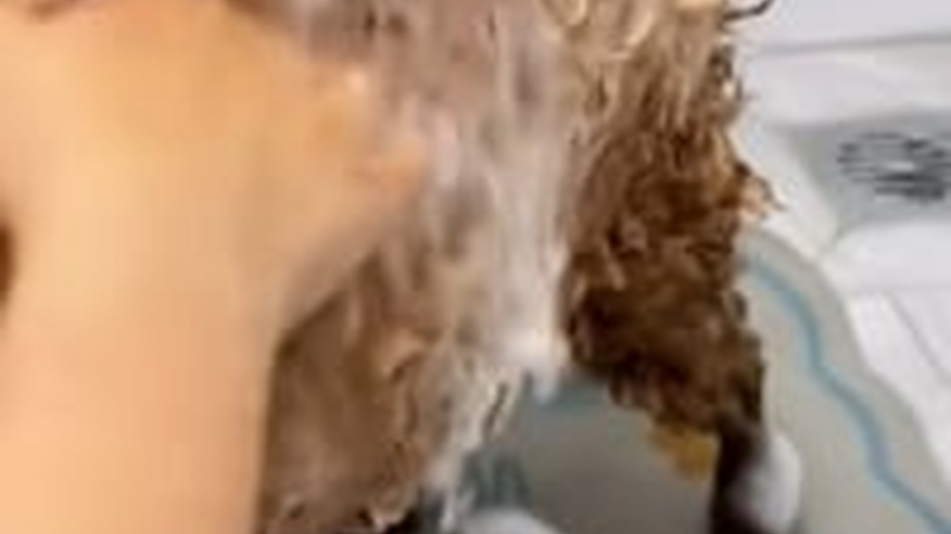 N1405075_Rescue a puppy on road #rescue #rescued..._part2