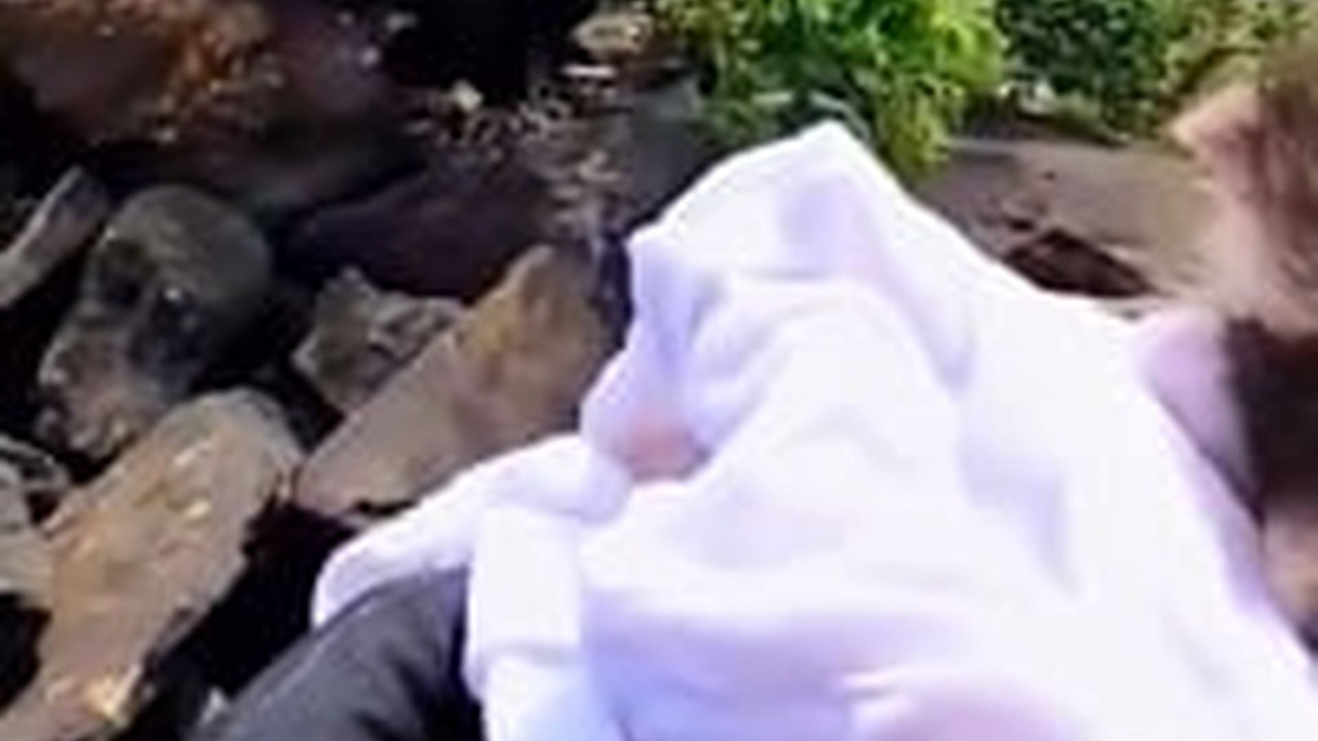 N1805020_man rescues a baby raccoon river #raccoon #babyraccoon #..._part2