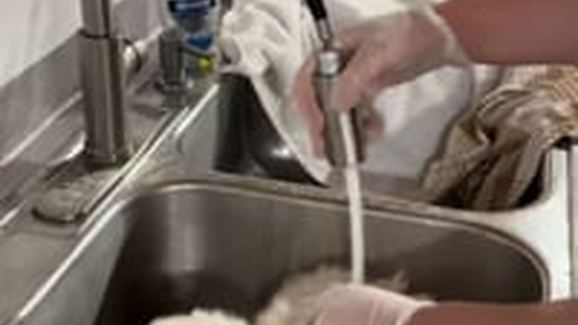 N2205009_We found rescued a puppy stuck in mud on our way home #animal_part2