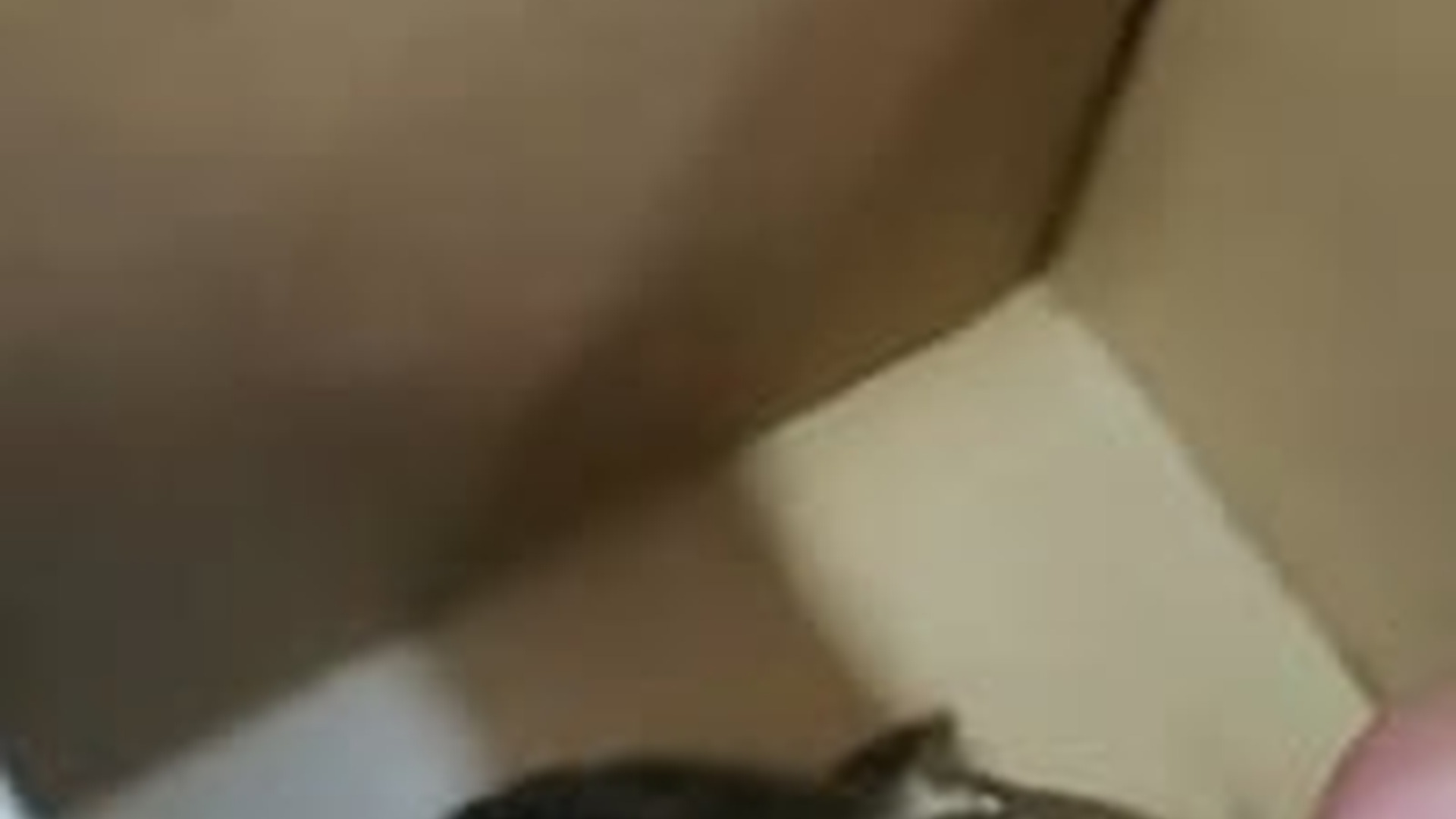 N2205079_Girl rescued poor owl crows attack adopted it #animals #resc_part2
