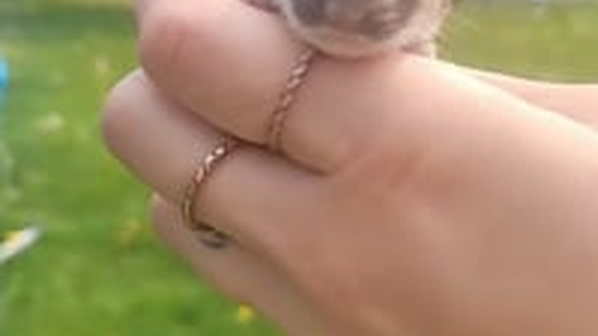 N2205134_My dog found a stoat in my garden I decided to adopt it #animals_part2
