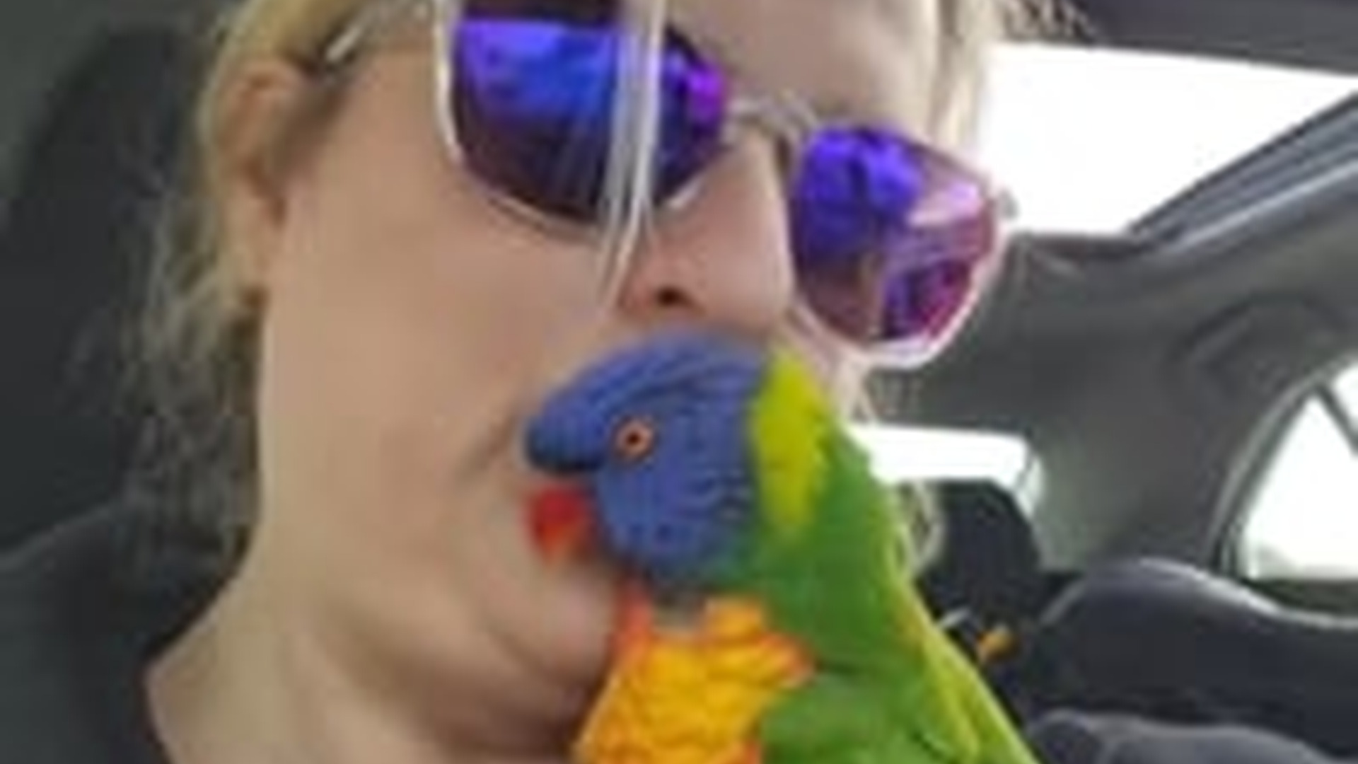 N2205144_Girl found a lost parrot adopted it love #animals #rescueani_part2