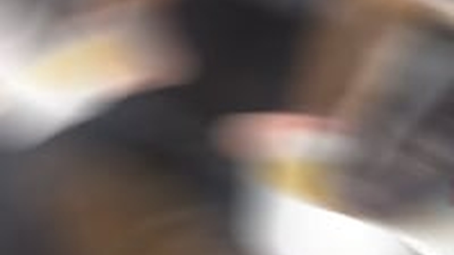 N2205215_Man found a baby skunk in his backyard adopted it #animals #rescu_part2