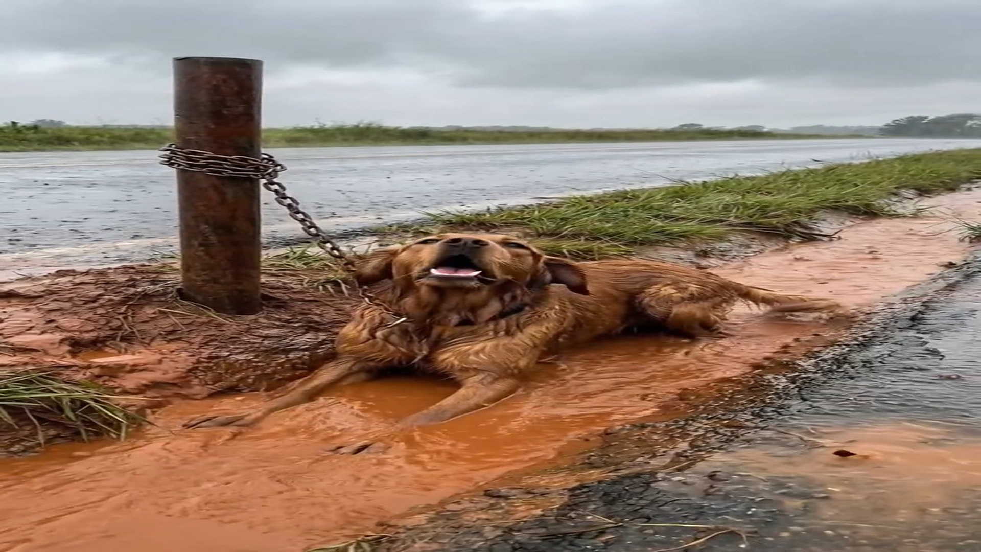 Full Video : N1606056_Chained in Rain Until One Stranger Changed Everything