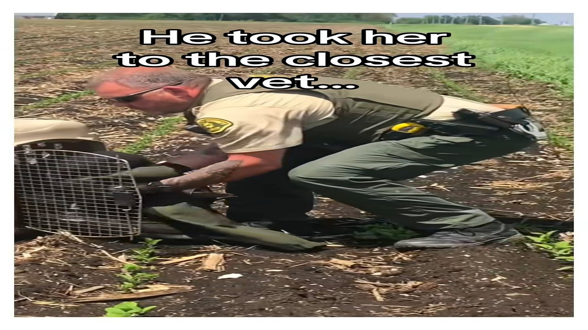 Full Video : N0408028_Thank you your service #wholesome #animals #eagle