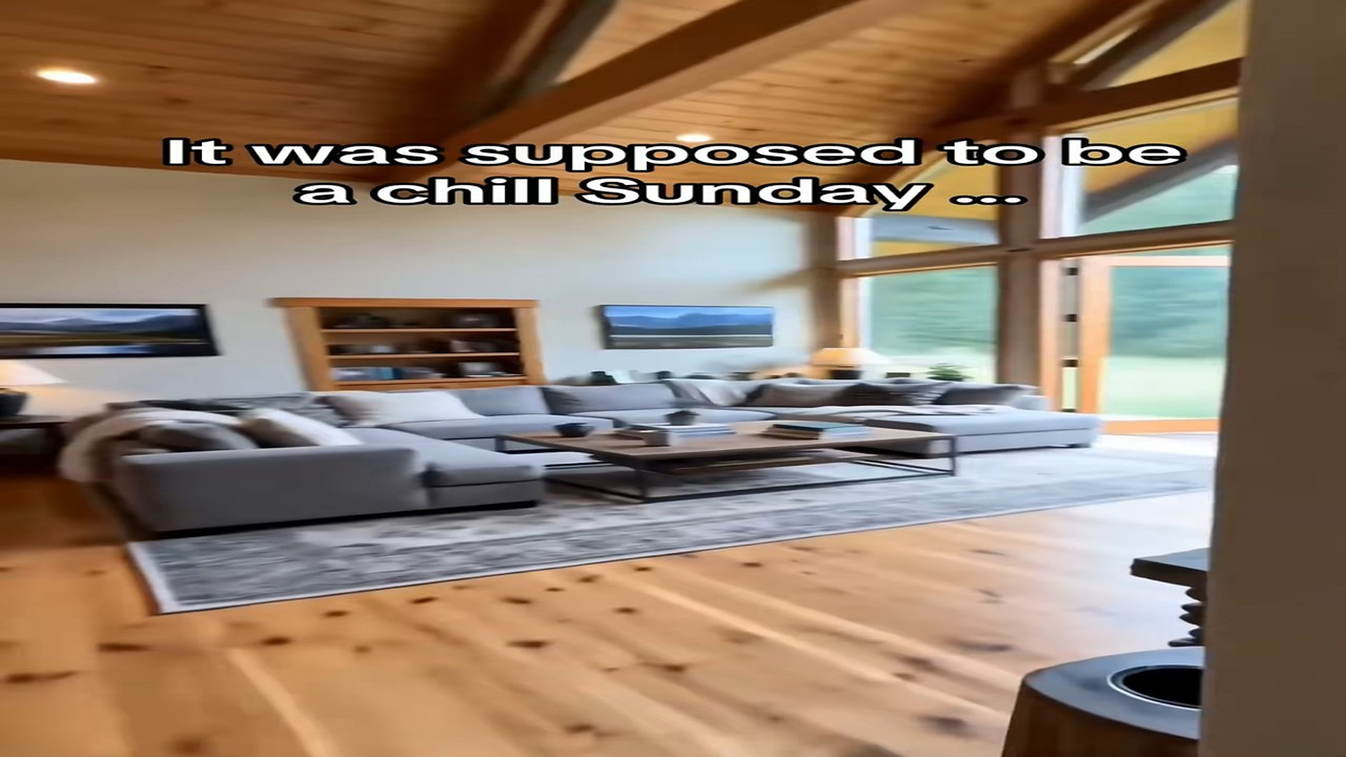 Full Video : N0708061_Was it a thank you #wholesome #animals