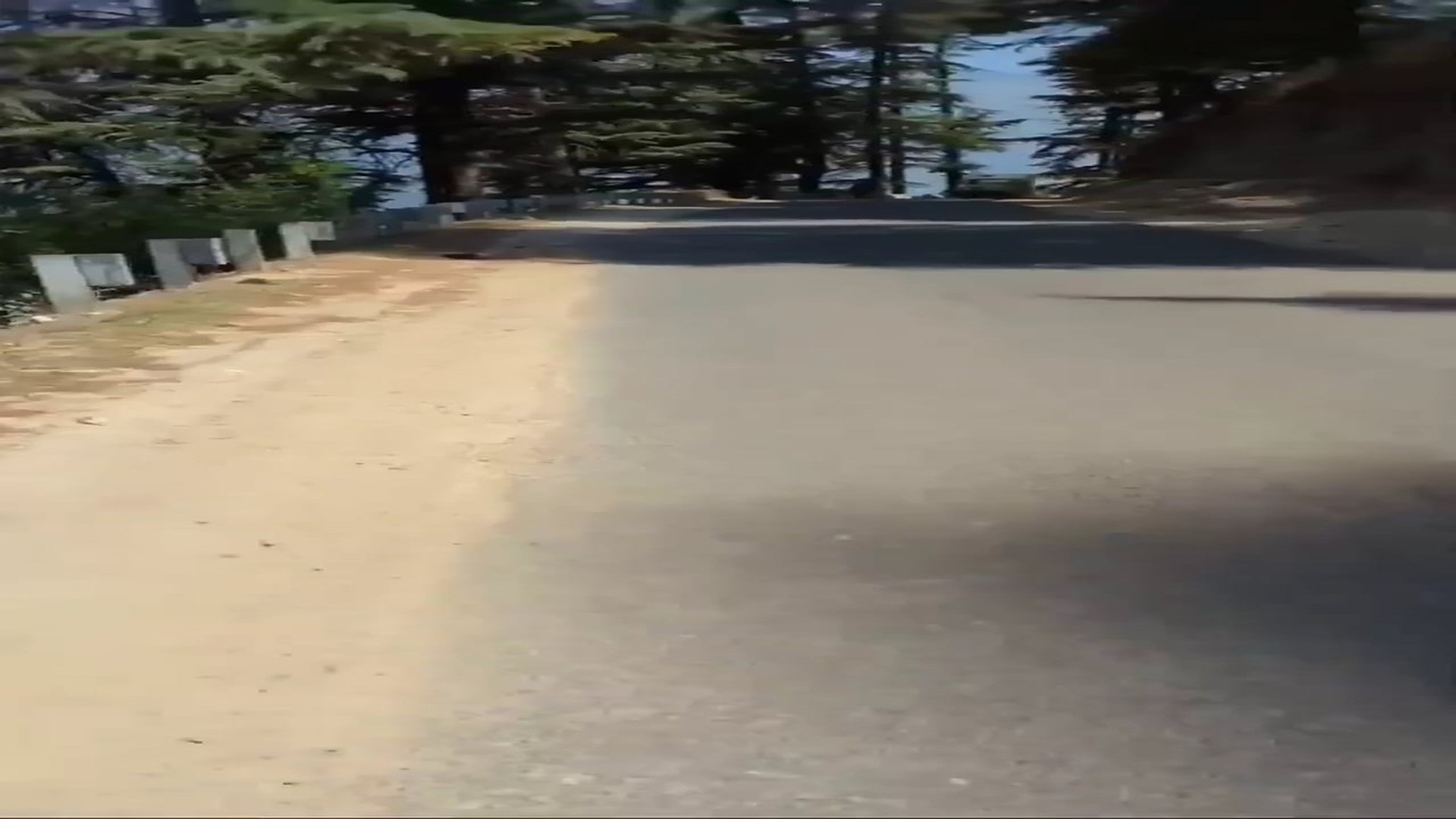 Full Video : N0808044_Street Puppy Accident