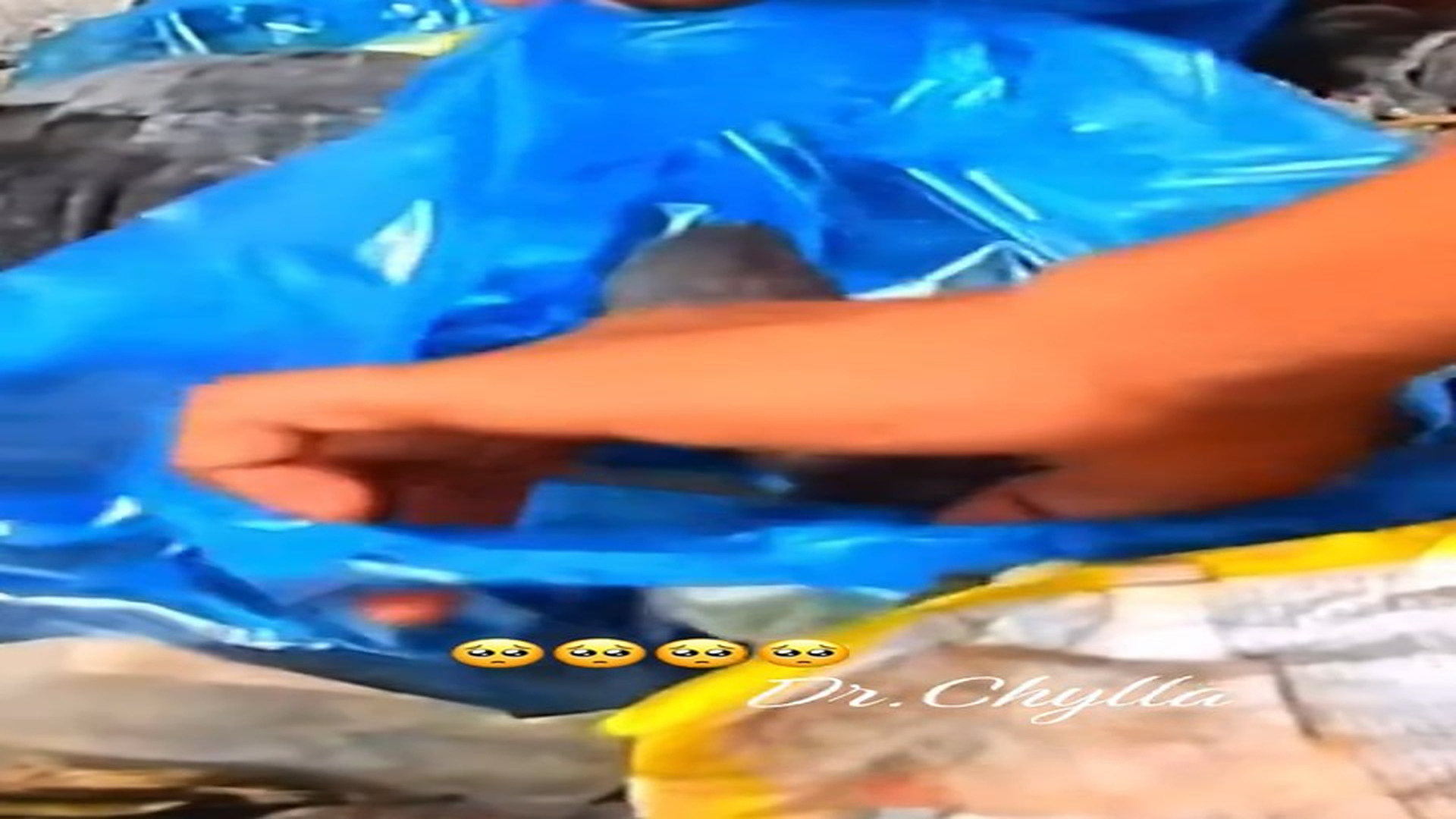 Full Video : N1108086_This skinny dog was rescued from the dump#dog #rescue #animals #animalsoftiktok