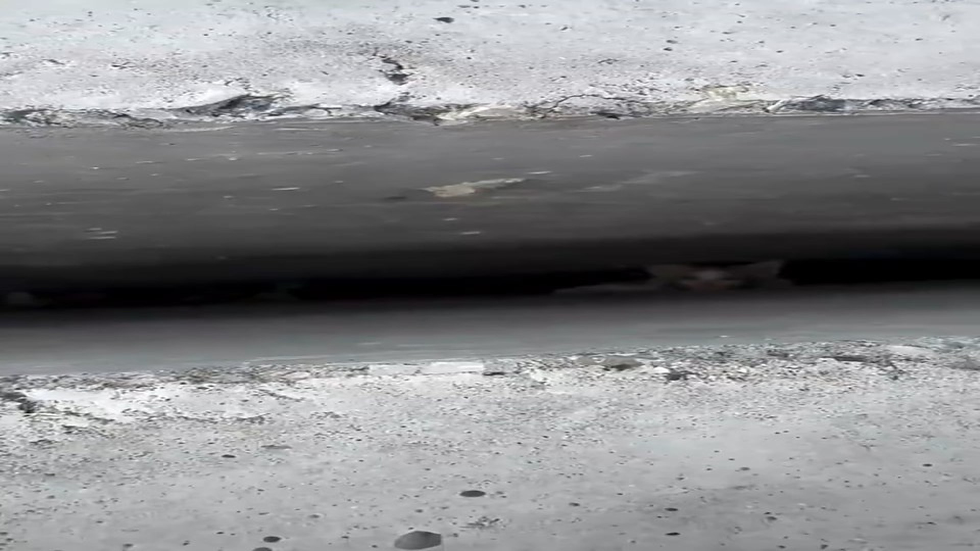 Full Video : N1308041_�� Tiny Kitten Trapped Inside a Wall Crack… We Rushed to Rescue Him! ❤️ #KittenRescue #CatRescue