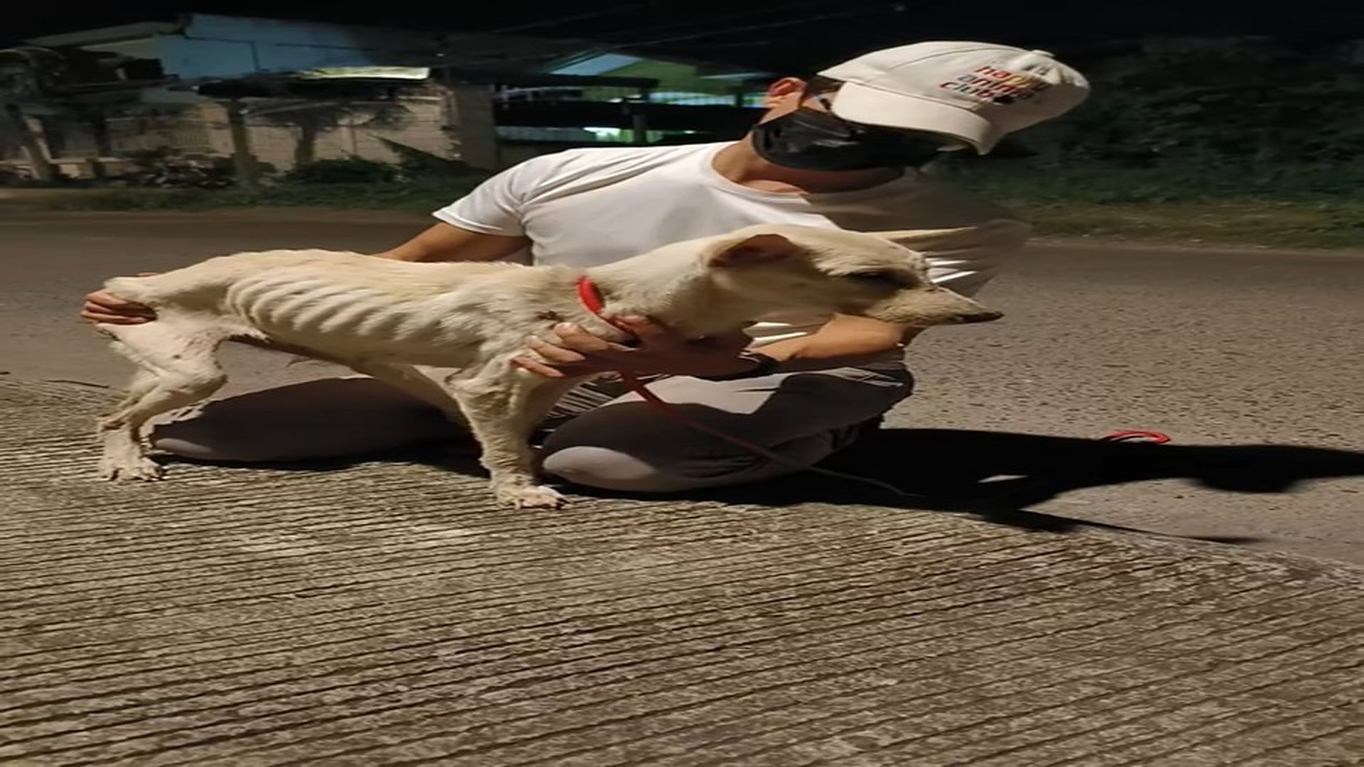 Full Video : N1508032_Latest rescue