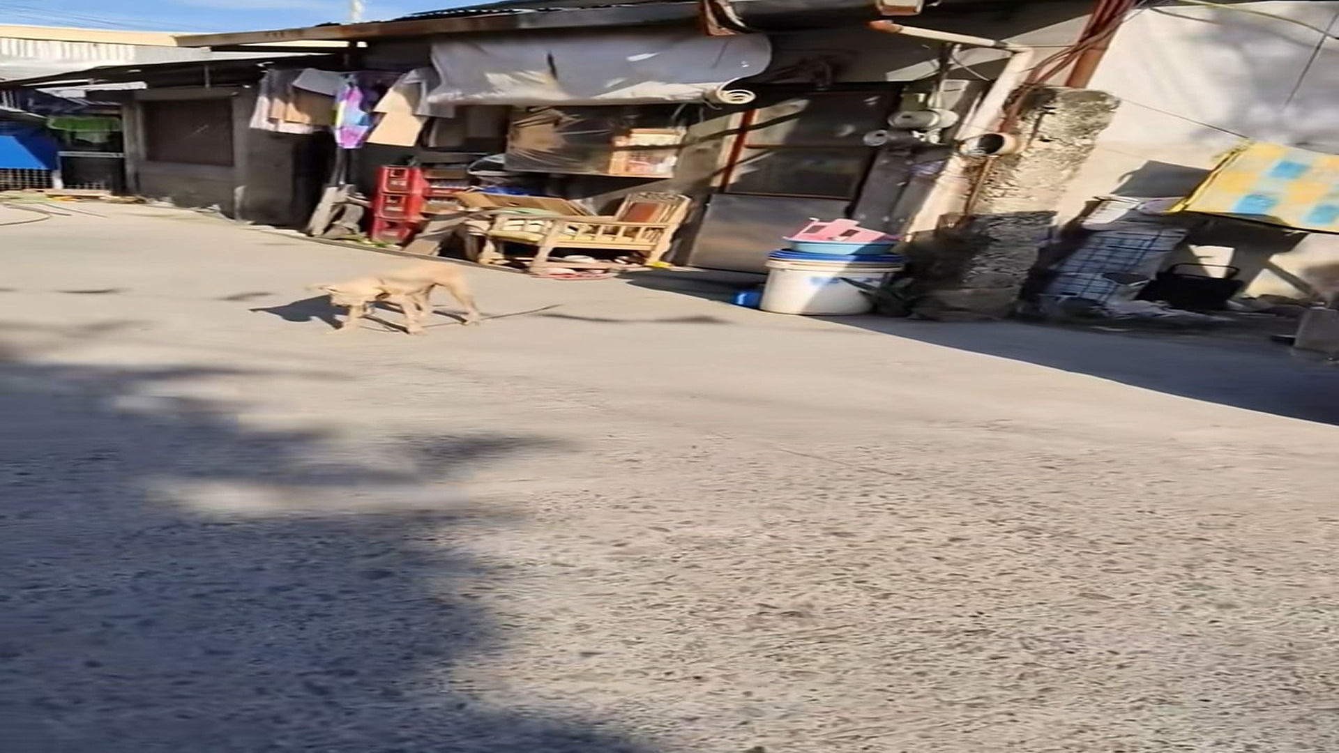 Full Video : N1508035_Mirage