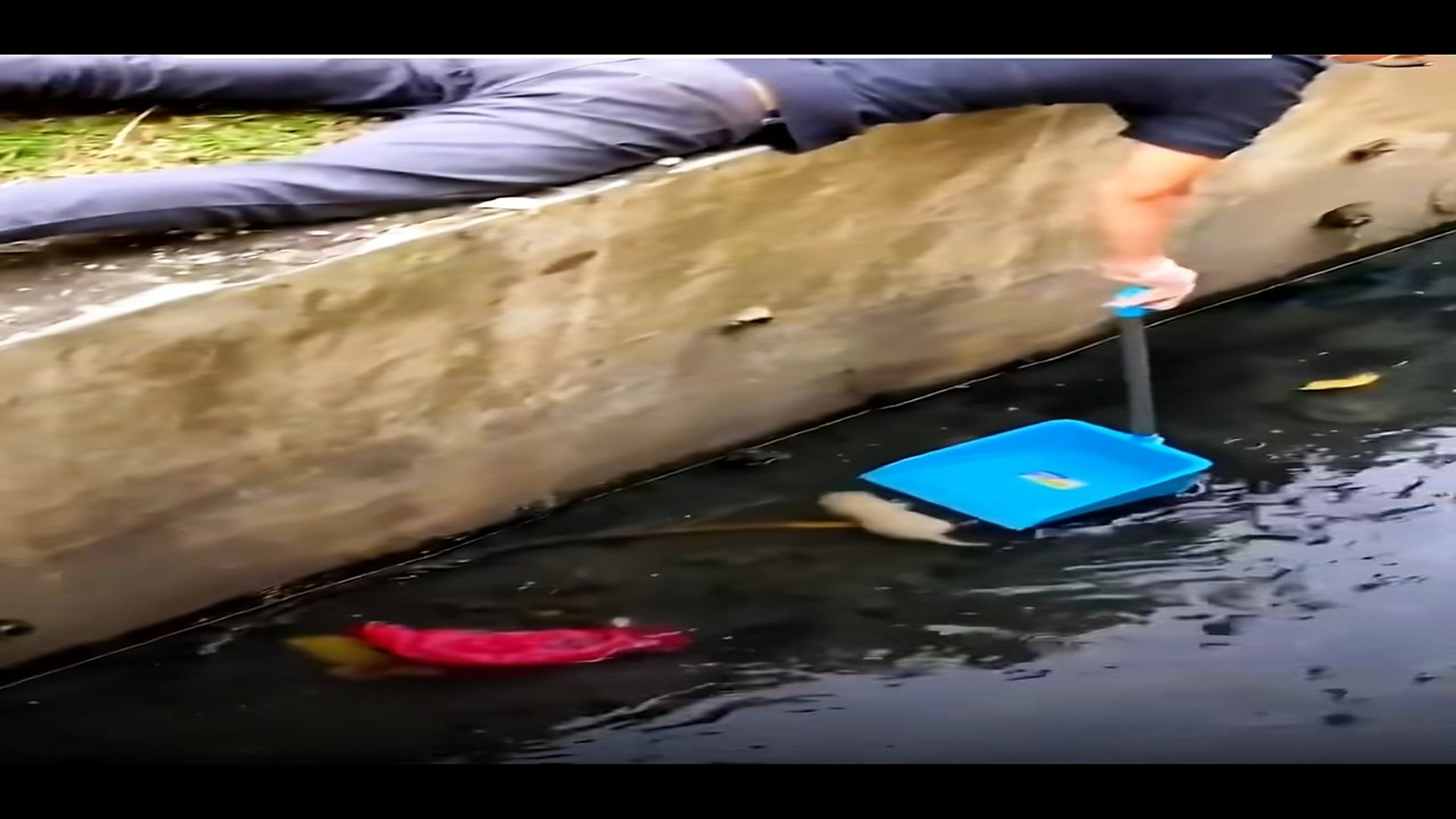 Full Video : N1508077_The Man successfully saves newborn puppy from being swept away by floodwaters ������❤️❤️❤️❤️❤️