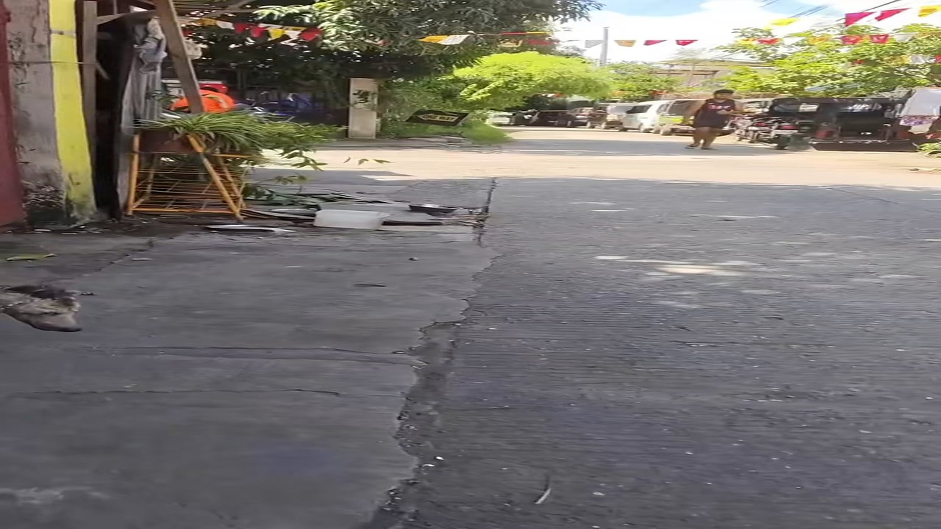 Full Video : N1508081_This dog is in really bad shape and can barely walk. We took custody of her and named her Sprocket