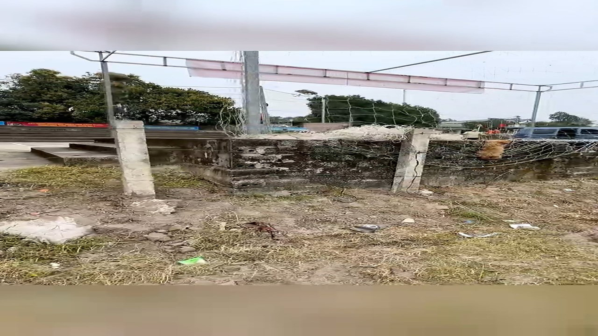 Full Video : N1708054_Rescue a puppy caught in the net #animals #rescueanimals #animalsoftiktok #rescue #puppy #rescuedog