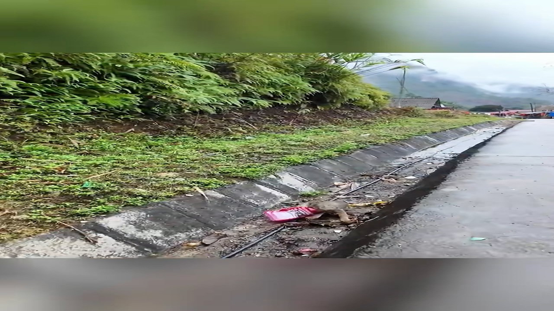 Full Video : N1908074_Rescue a puppy #rescue #animal #animalsoftiktok #rescueanimals #rescuedog #dog #puppy #dogsoftiktok