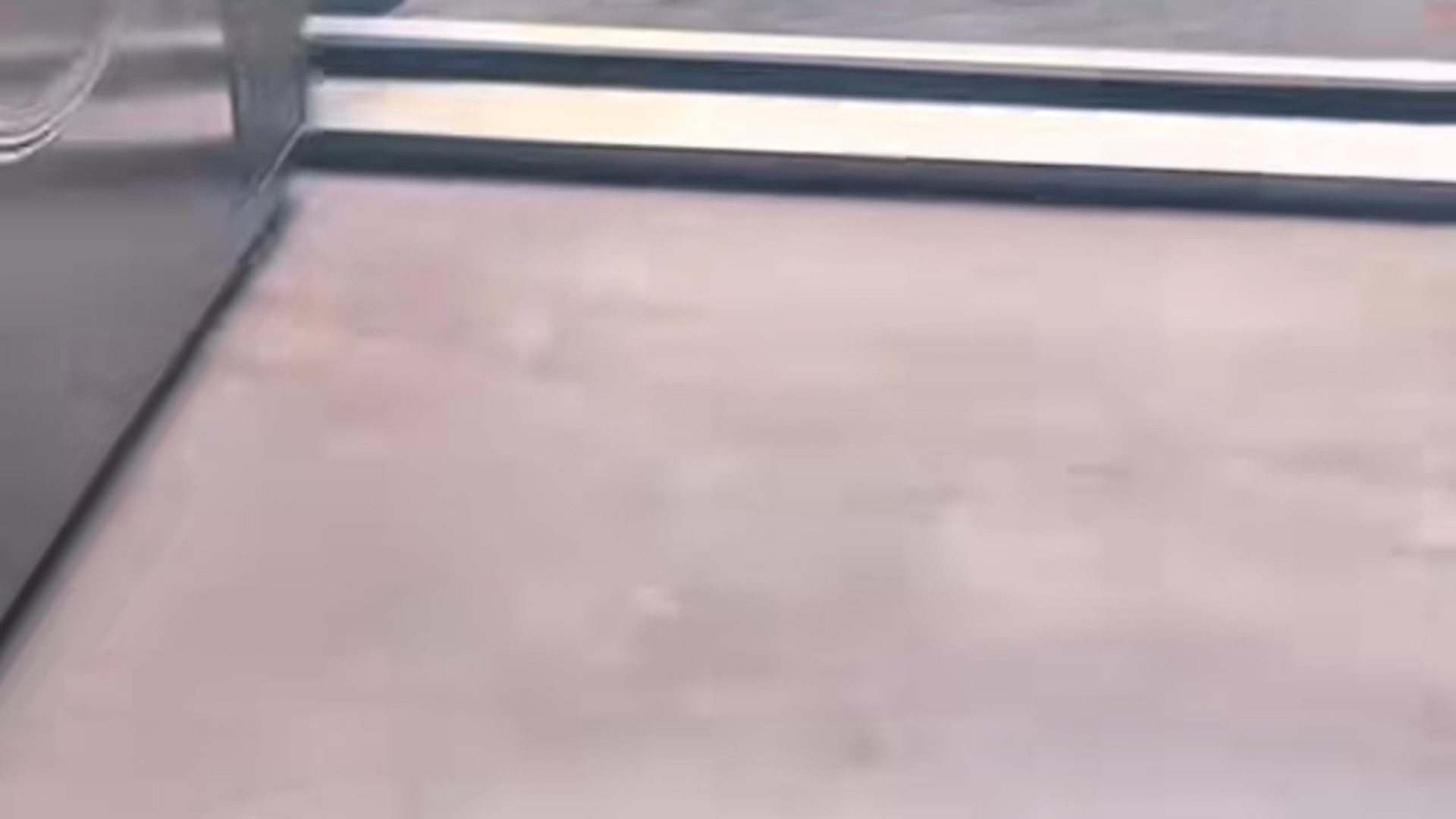 Parte 2 : N2108057_This morning a little dog came to my door. I gave it some food and decided to adopt it.#dogvideo #po