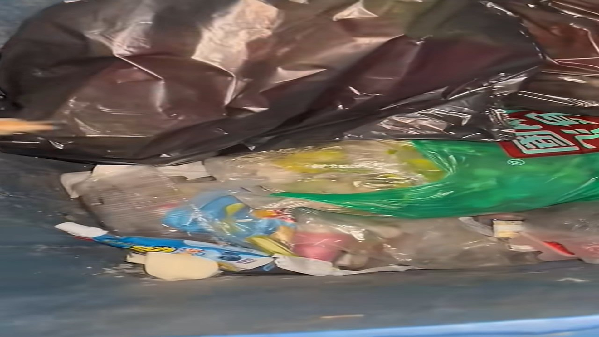 Full Video : N2208013_#dog #poor #dogvideo #poordogvideo #poordog