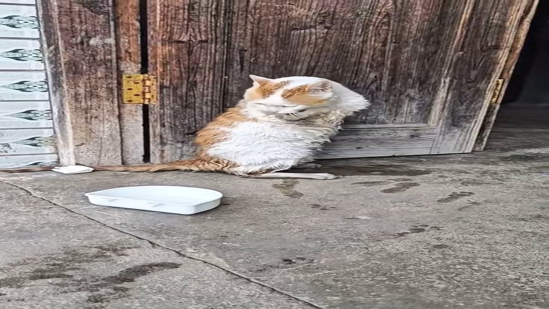 Full Video : N2208048_hhy72462acz_7461211492772367647