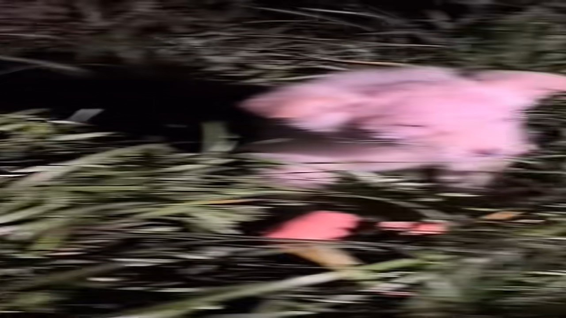 Full Video : N2208053_hhy72462acz_7470414066251549982