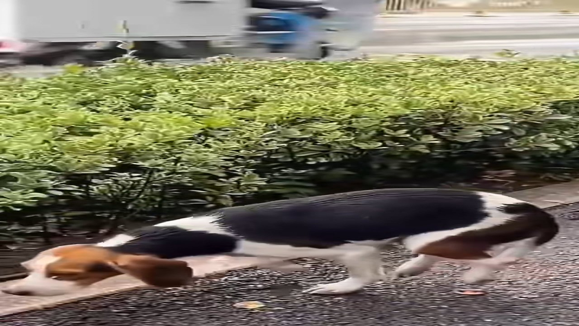 Full Video : N2208062_hhy72462acz_7482211246549290271